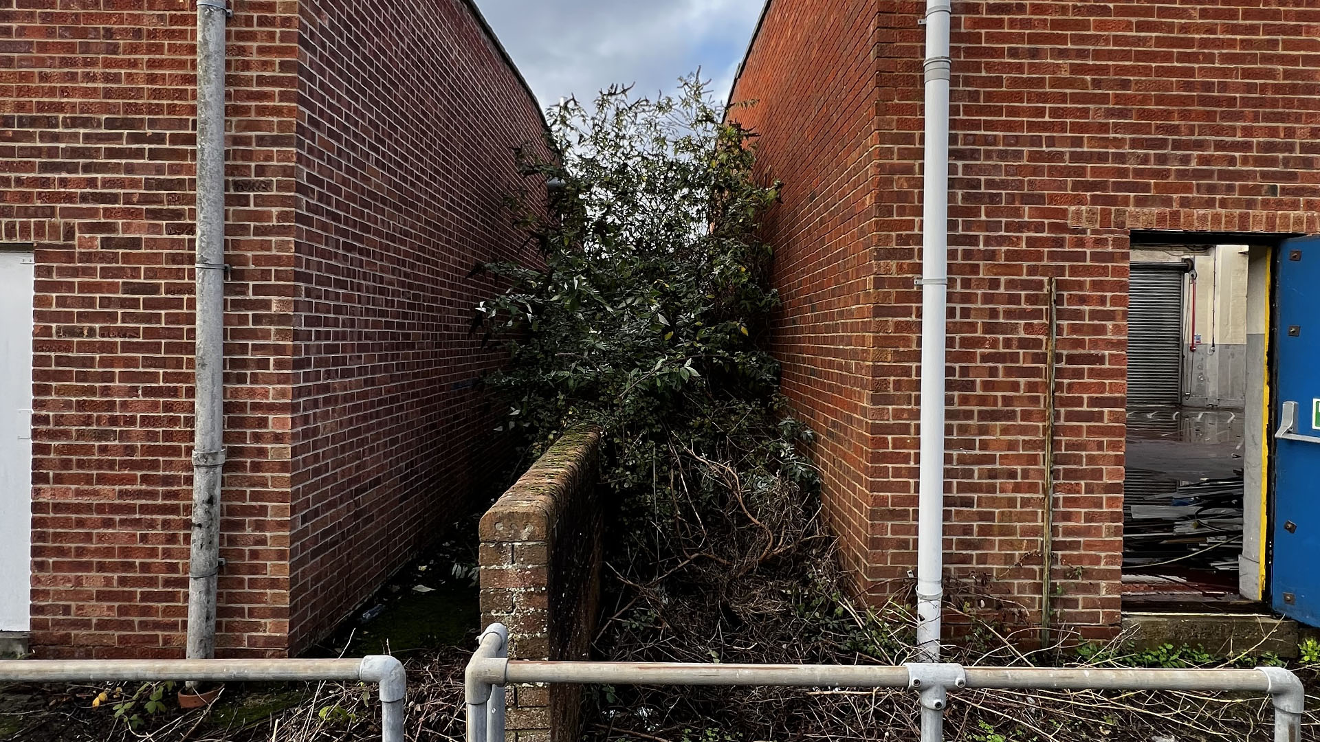 Who Should You Contact First — The Council, a Surveyor, or Your Neighbour Surbiton?
